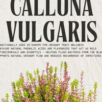 Heather's UTI Defense | Calluna Vulgaris - 60 Capsules Oral Supplements Desert Harvest