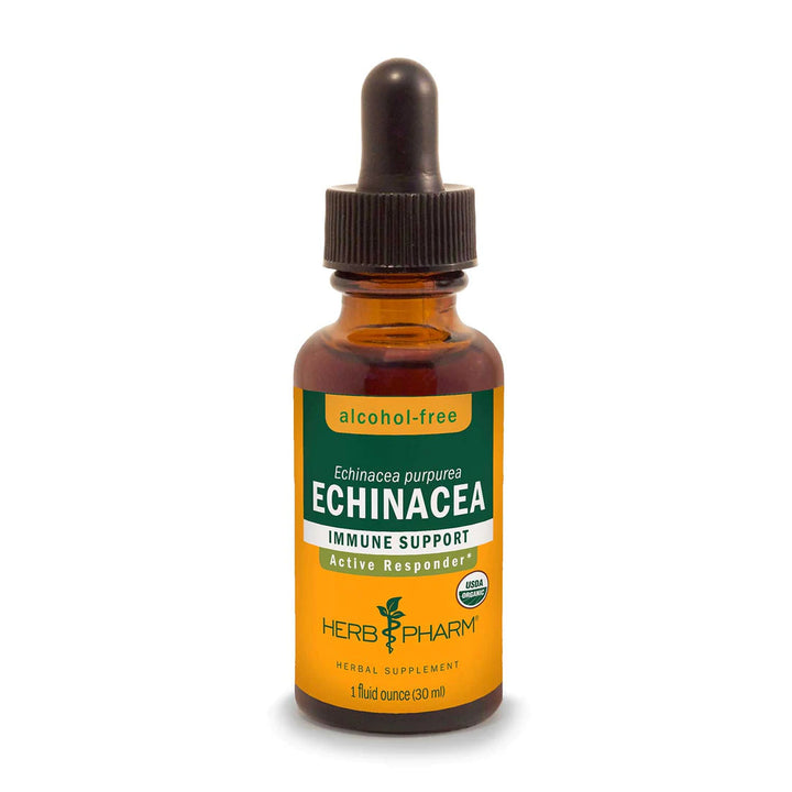 Echinacea Tincture | Alcohol Free - 1 Fl oz. Tincture Herb Pharm 