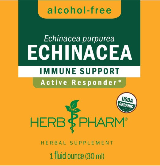 Echinacea Tincture | Alcohol Free - 1 Fl oz. Tincture Herb Pharm 