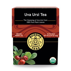 Uva Ursi Herbal Tea | Organic - 18 Bleach Free Tea Bags Teas Buddha Teas 